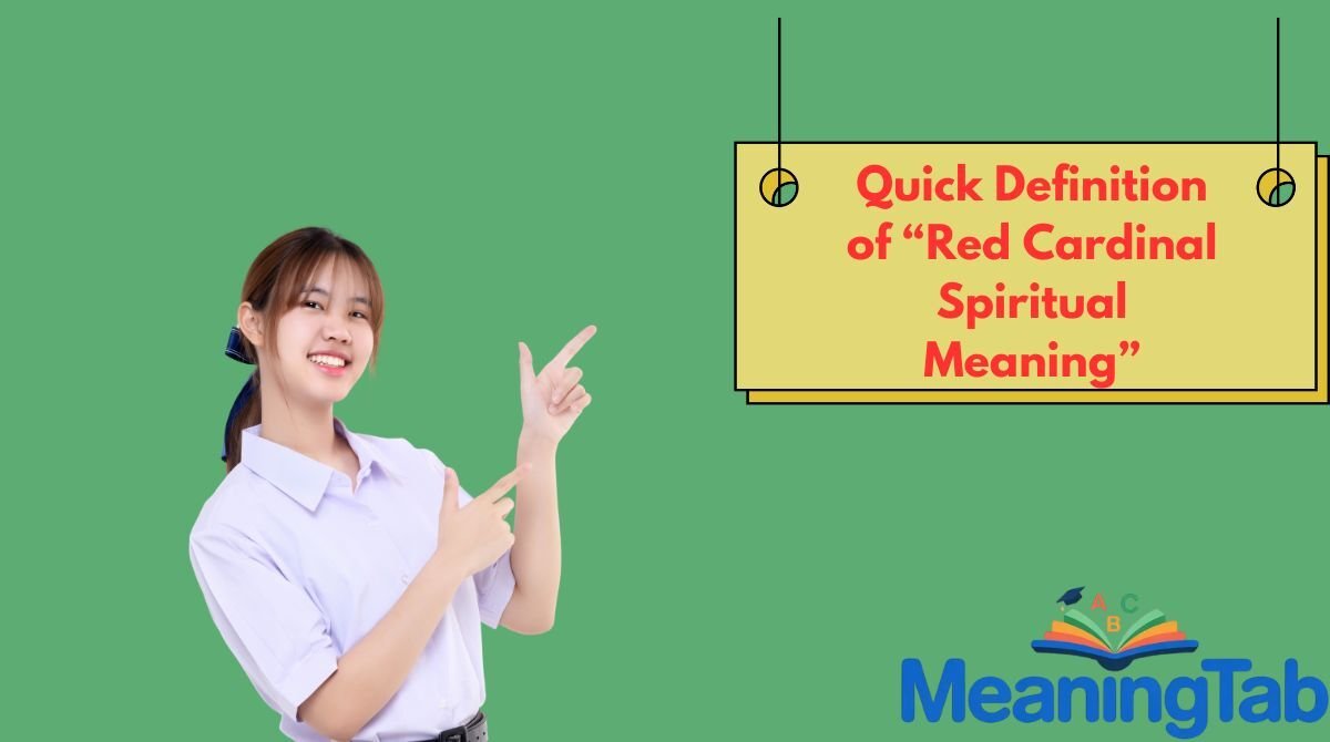 Red Cardinal Spiritual Meaning: Definition, Context, Examples, and ...